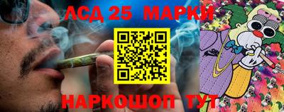 стафф Донецк