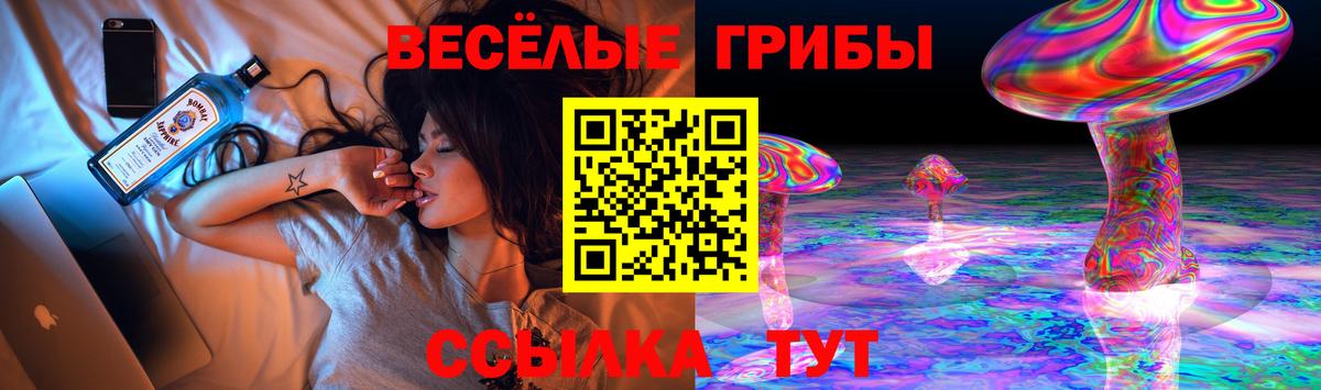 Малгобек  закладки  Вход с VPN  Псилоцибиновые грибы мухоморы 